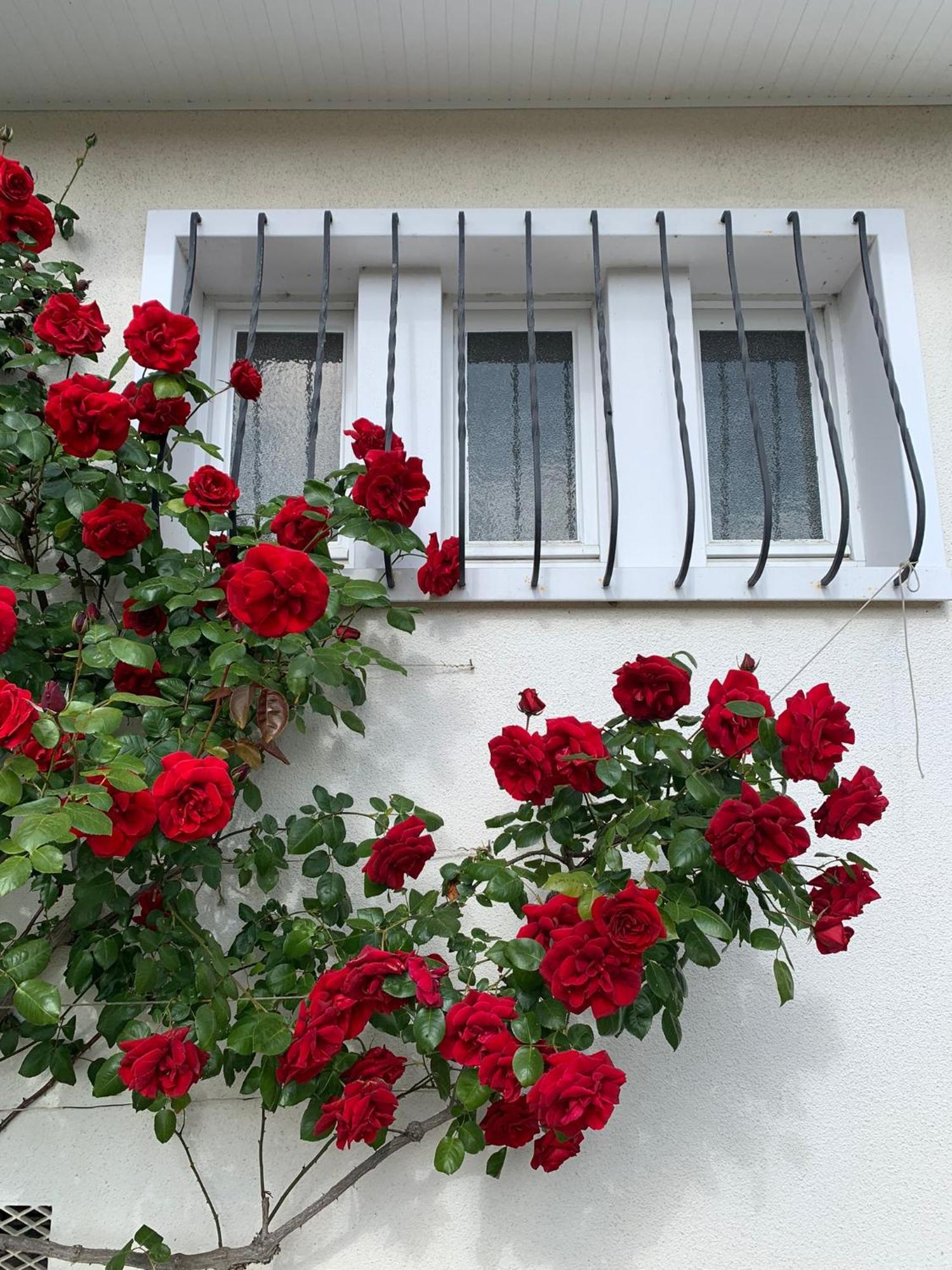 Les Cormiers Villa Chailles  ภายนอก รูปภาพ